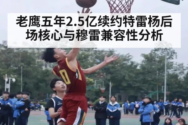 老鹰五年2.5亿续约特雷杨后场核心与穆雷兼容性分析