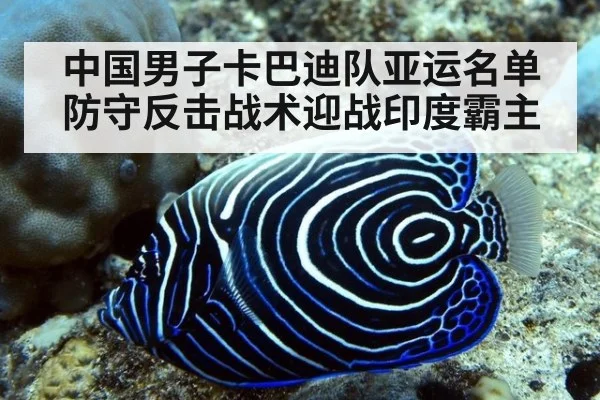中国男子卡巴迪队亚运名单 防守反击战术迎战印度霸主