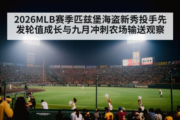 baseball stadium night